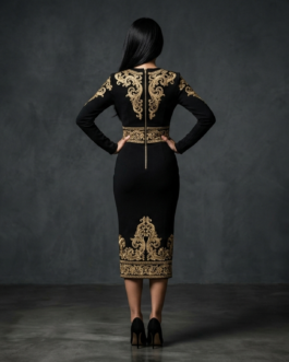 Dimara Royal Embroidery Dress